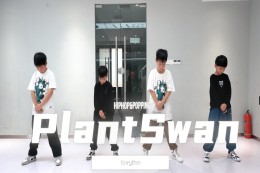 【少兒雙師集訓】：PlantSwan 帥氣翻倍！